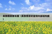 真假翡翠原石图（真假翡翠的鉴别内部结构图）
