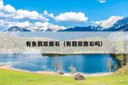 有鱼翡翠原石（有翡翠原石吗）