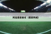 阿龙翡翠原石（翡翠阿成）
